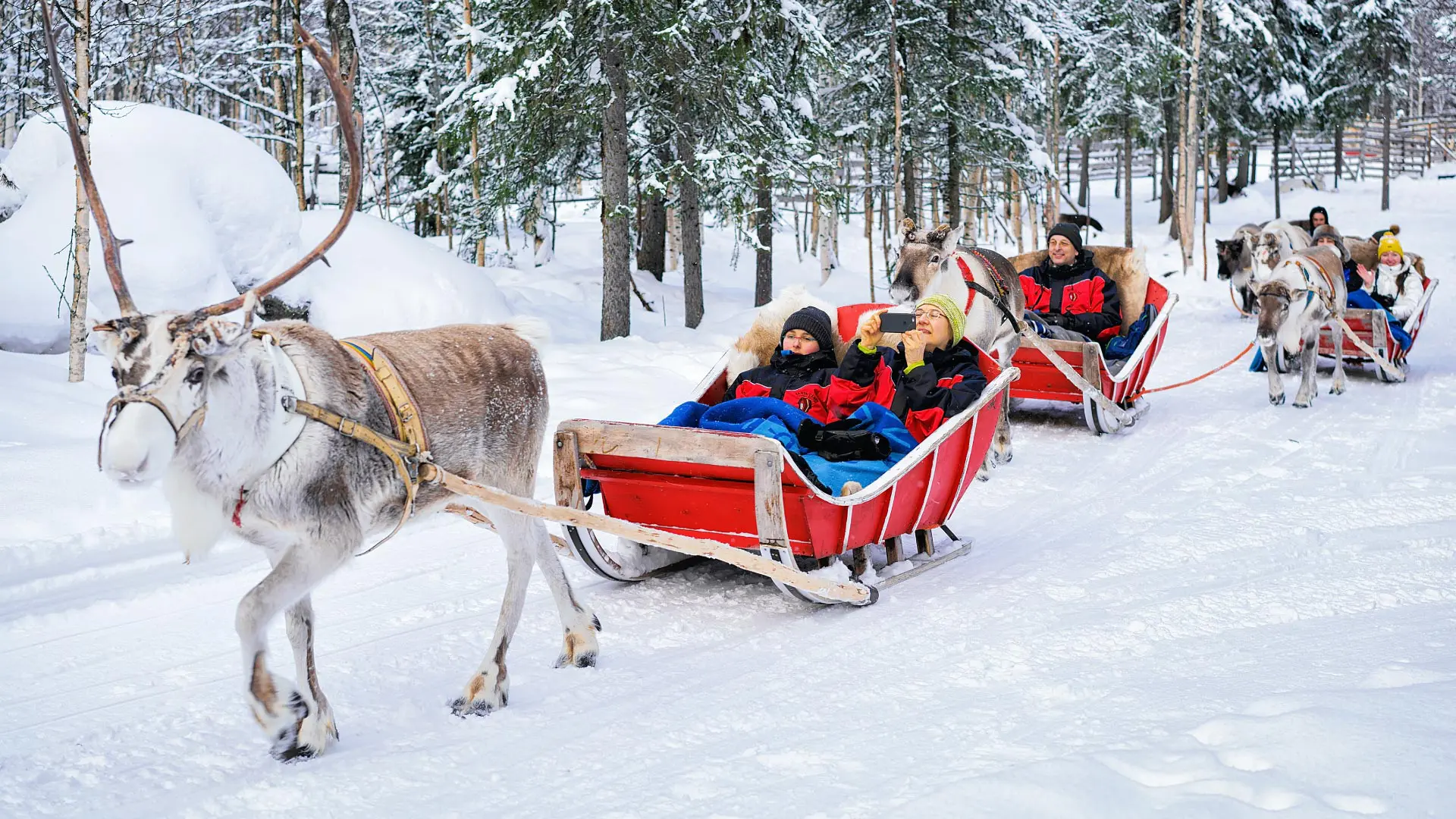 Un grupo de personas realizando un paseo adaptado en trineo con renos en Laponia