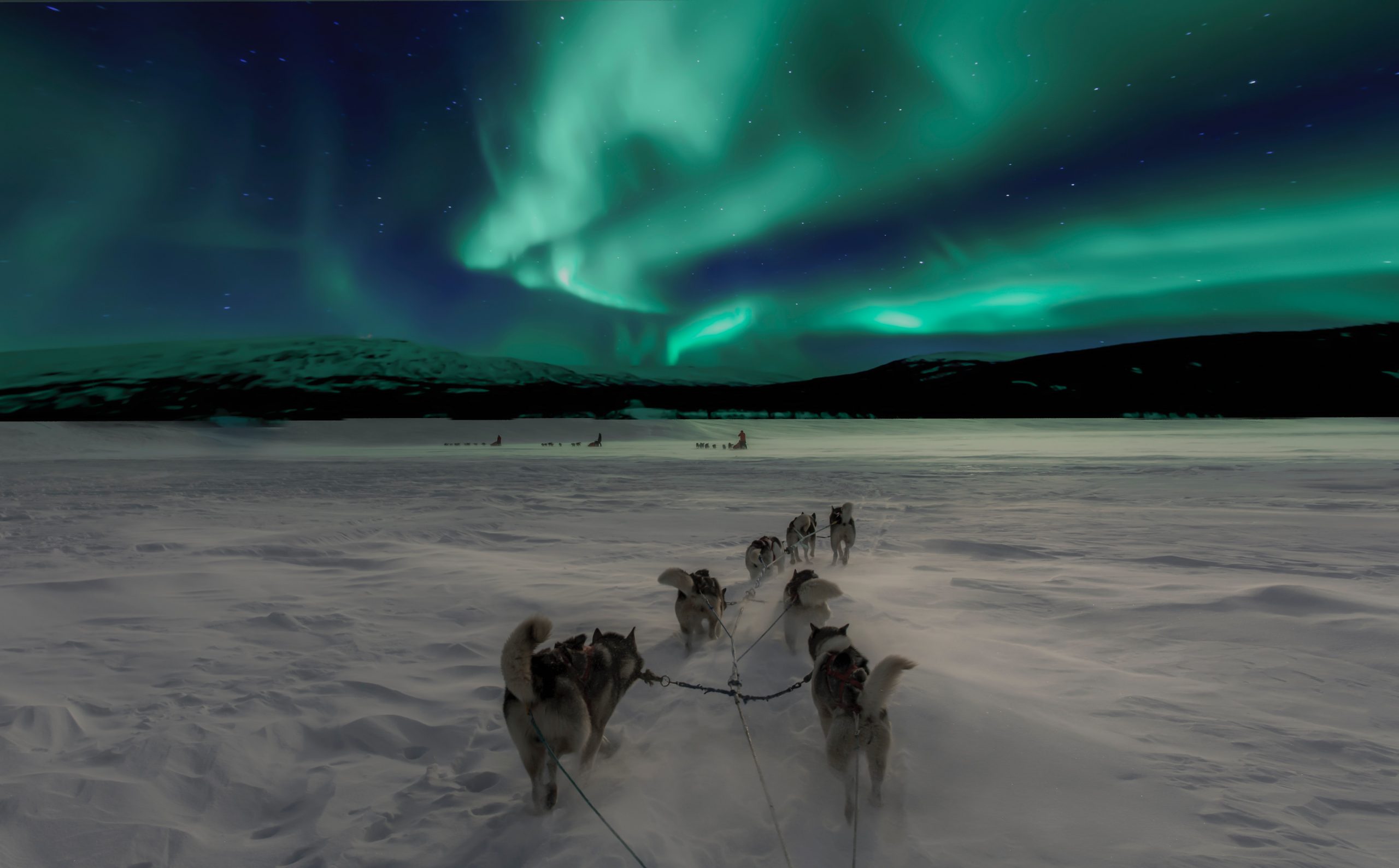 imagen de un trineo tirado por perros en la nieve, en el cielo, auroras boreales