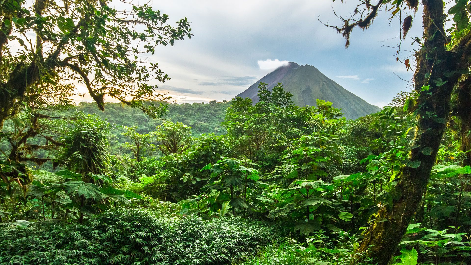 Imagen de la selva de costa Rica y al fondo se ve el volcán Arenal