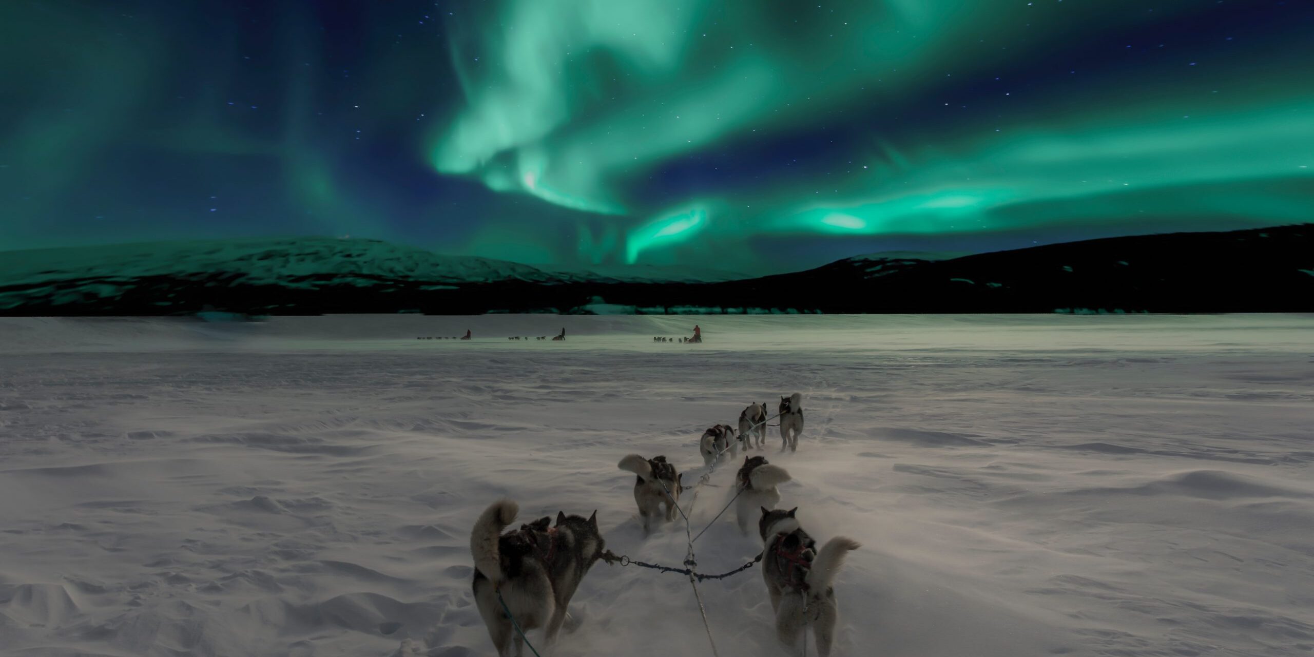 imagen de un trineo tirado por perros en la nieve, en el cielo, auroras boreales